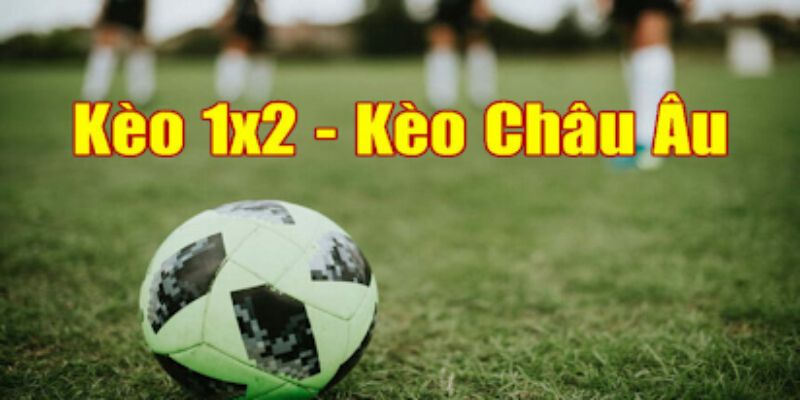 Kèo chấp 1/2 là gì?